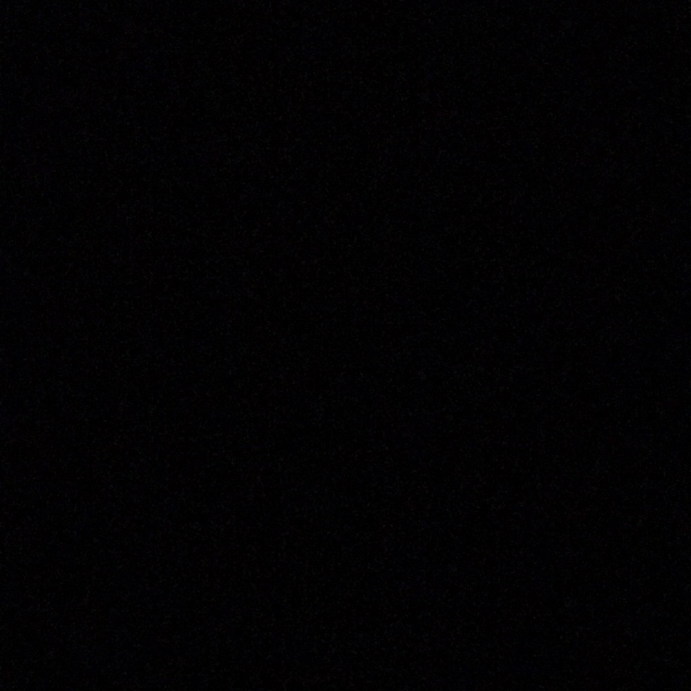 Meet your Posher, Regan